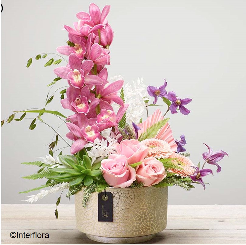 Orchid Garden Arrangement | The Lily Pad Florist Stroud