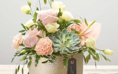 Succulent Arrangement