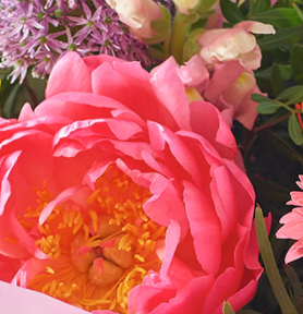 Summer Peony Gift Box - Image 2