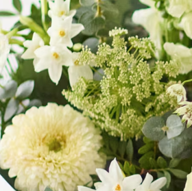 The Snowy Delight - White and Ivory Hand-Tied Bouquet - Image 3