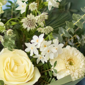 The Snowy Delight - White and Ivory Hand-Tied Bouquet - Image 2