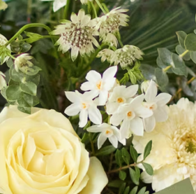 The Winter Dawn - White and Ivory Hand-Tied Bouquet - Image 3
